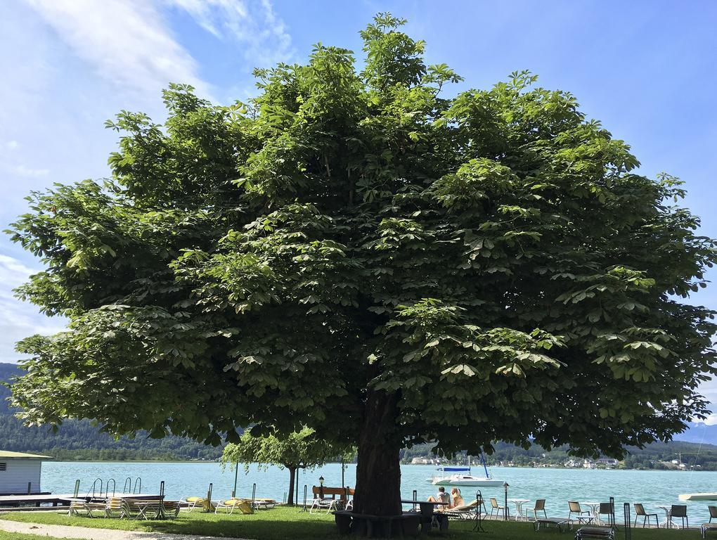 Strandhotel Kaerntnerhof Pörtschach am Wörthersee 외부 사진